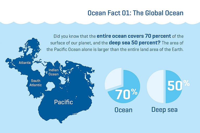 Did you know that the entire ocean covers 70 percent of the surface of our planet, and the deep sea 50 percent? The area of the Pacific Ocean alone is larger than the entire land area of the Earth.