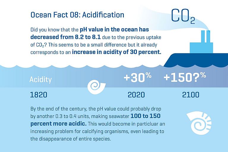 Did you know that the pH value in the ocean has decreased from 8.2 to 8.1 due to the previous uptake of CO2? This seems to be a small difference but it already corresponds to an increase in acidity of 30 percent. By the end of the century, the pH value could probably drop by another 0.3 to 0.4 units, making seawater 100 to 150 percent more acidic. This would become in particluar an increasing problem for calcifying organisms, even leading to the disappearance of entire species.