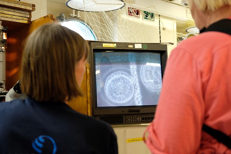 Einblicke in die faszinierende Welt des Planktons. Foto: Jan Steffen/GEOMAR