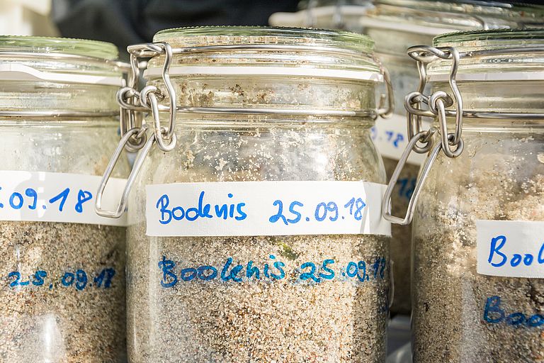 Sediment samples from Boknis Eck. Photo: Svenja Hardel, Future Ocean