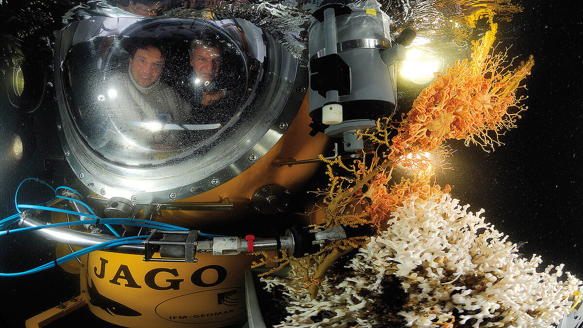 JAGO bei den Kaltwasserkorallen 