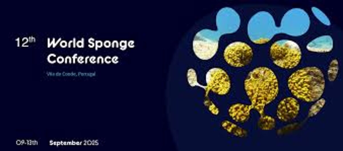 [Translate to English:] WSC_2025