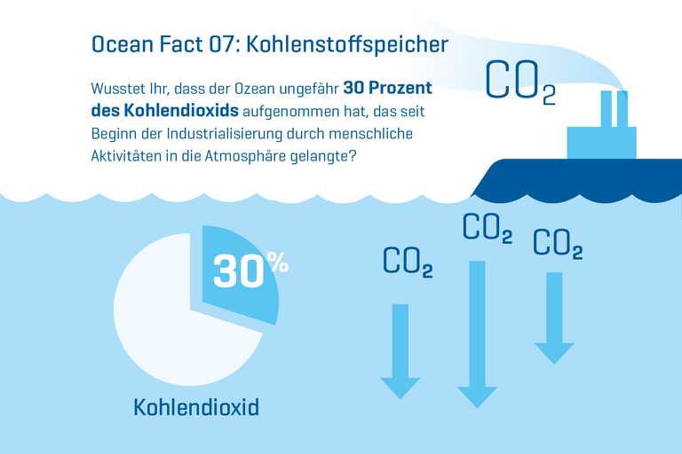 Wusstet Ihr, dass der Ozean ungefähr 30 Prozent des Kohlendioxids aufgenommen hat, das seit Beginn der Industrialisierung durch menschliche Aktivitäten in die Atmosphäre gelangte?