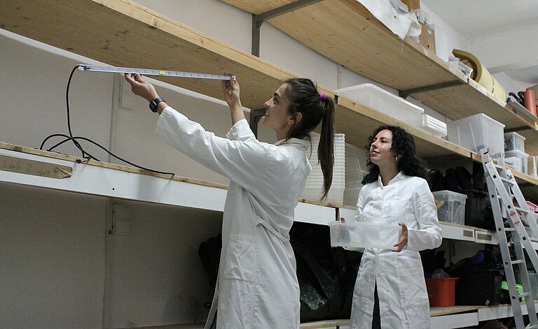 Zwei junge Forscherinnen messen ein Regal in einem Labor aus.