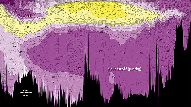 Cross-section through the Atlantic Ocean from 54 degrees south to 64 degrees north with oxygen content data from WOCE Section A16.