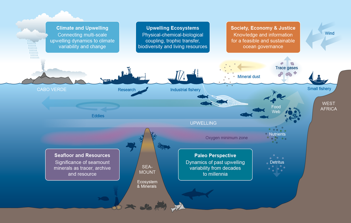 Overview of processes and research topics of the IRF "Atlantic Ocean Upwelling". Illustration: Christoph Kersten/GEOMAR