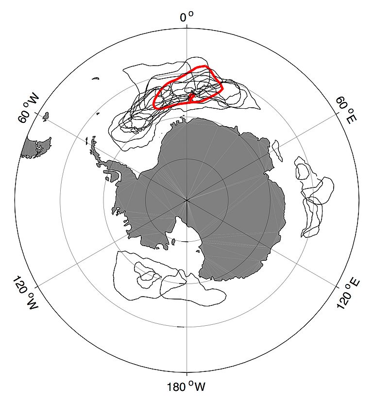 Position und Ausdehnung simulierter Polynjen in internationalen Klimamodellen (in rot das Kiel-Climate-Model).