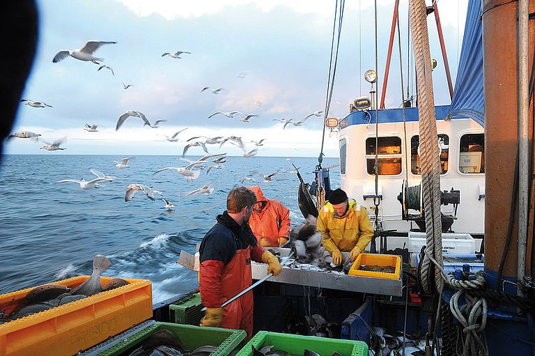 Fischer stehen auf einem Fischkutter. Foto: Maike Nicolai/GEOMAR