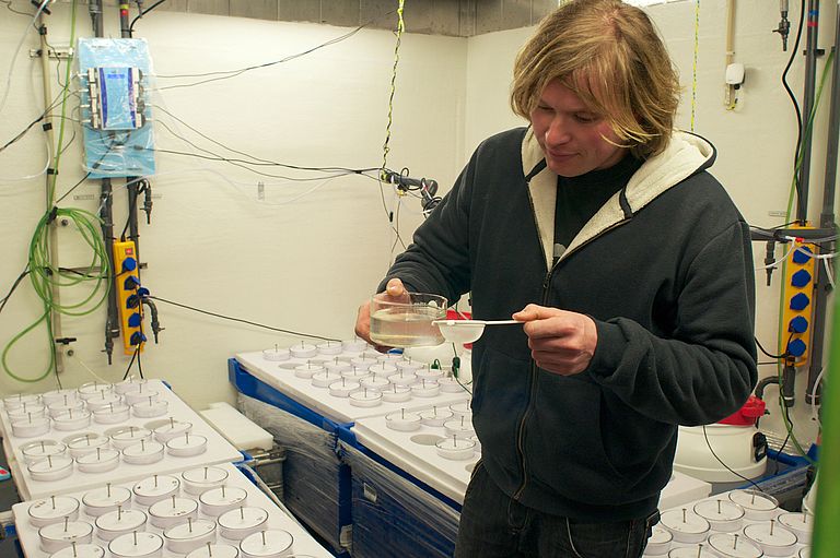 Benthokosmen ermöglichen Experimente zu Veränderungen am Meeresboden. Foto: Maike Nicolai, GEOMAR