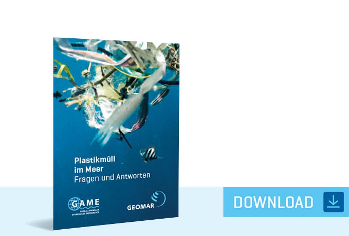 Download Flyer Plastikmüll im Meer