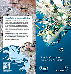MIM Flyer
