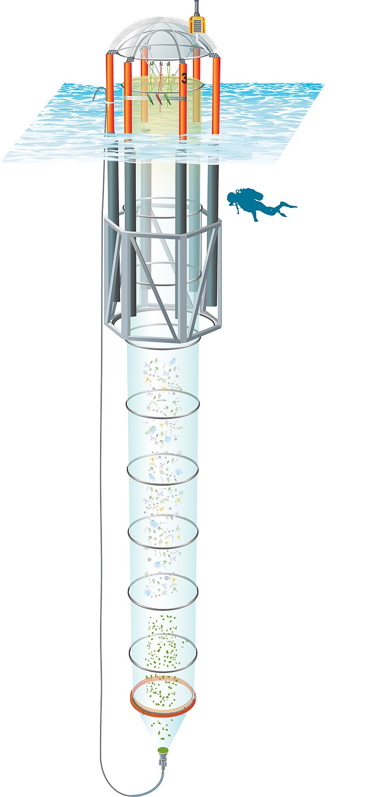 Die KOSMOS-Mesokosmen isolieren wie in einem riesigen Reagenzglas 50 Kubikmeter Meerwasser mit allen darin vorkommenden Planktonorganismen. Grafik: Rita Erven/GEOMAR