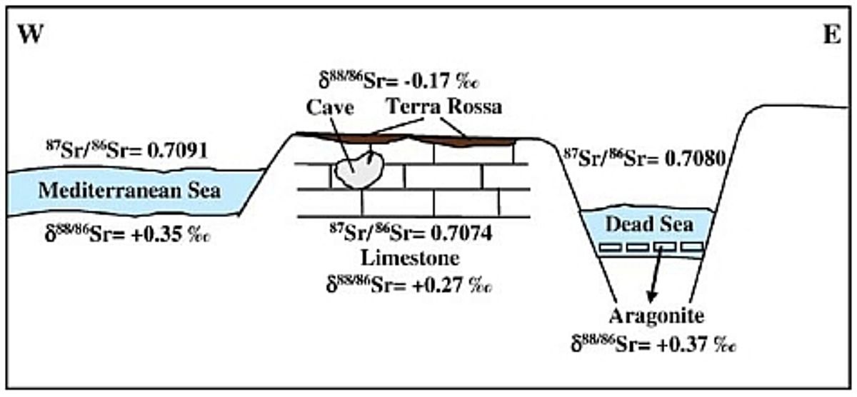 W–E schematic traverse crossing the Mediterranean-Judea Mountain–Dead Sea rift showing the locations of various carbonate samples used in this study. The samples include: Limestone from the Cretaceous Judea Group (representing deposition in the shallow ma