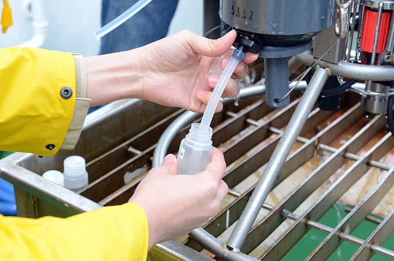 Wasserproben nehmen und auf Mikroorganismen hin untersuchen - beim Ocean Sampling Day kann jeder mitmachen. Foto: Jan Steffen, GEOMAR