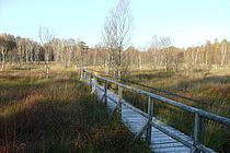 Das Dosenmoor in Schleswig-Holstein ist der bisher am weitesten entfernte Fundort der White-River Asche des Bona-Churchill-Massivs. Foto: Stephan Ernst via Wikimedia Commons (CC BY-SA 3.0)
