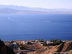 Interuniversity Institute of Marine Sciences (IUI) in Eilat, Israel on the Red Sea coast.