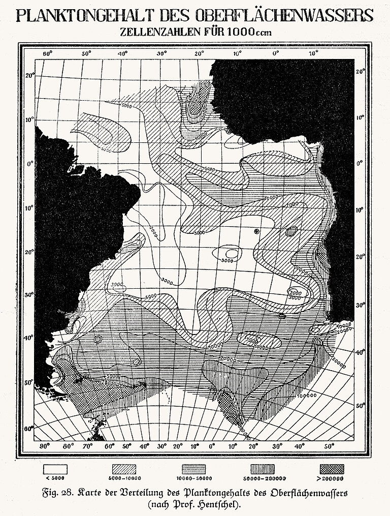 Distribution of plankton content in surface water.