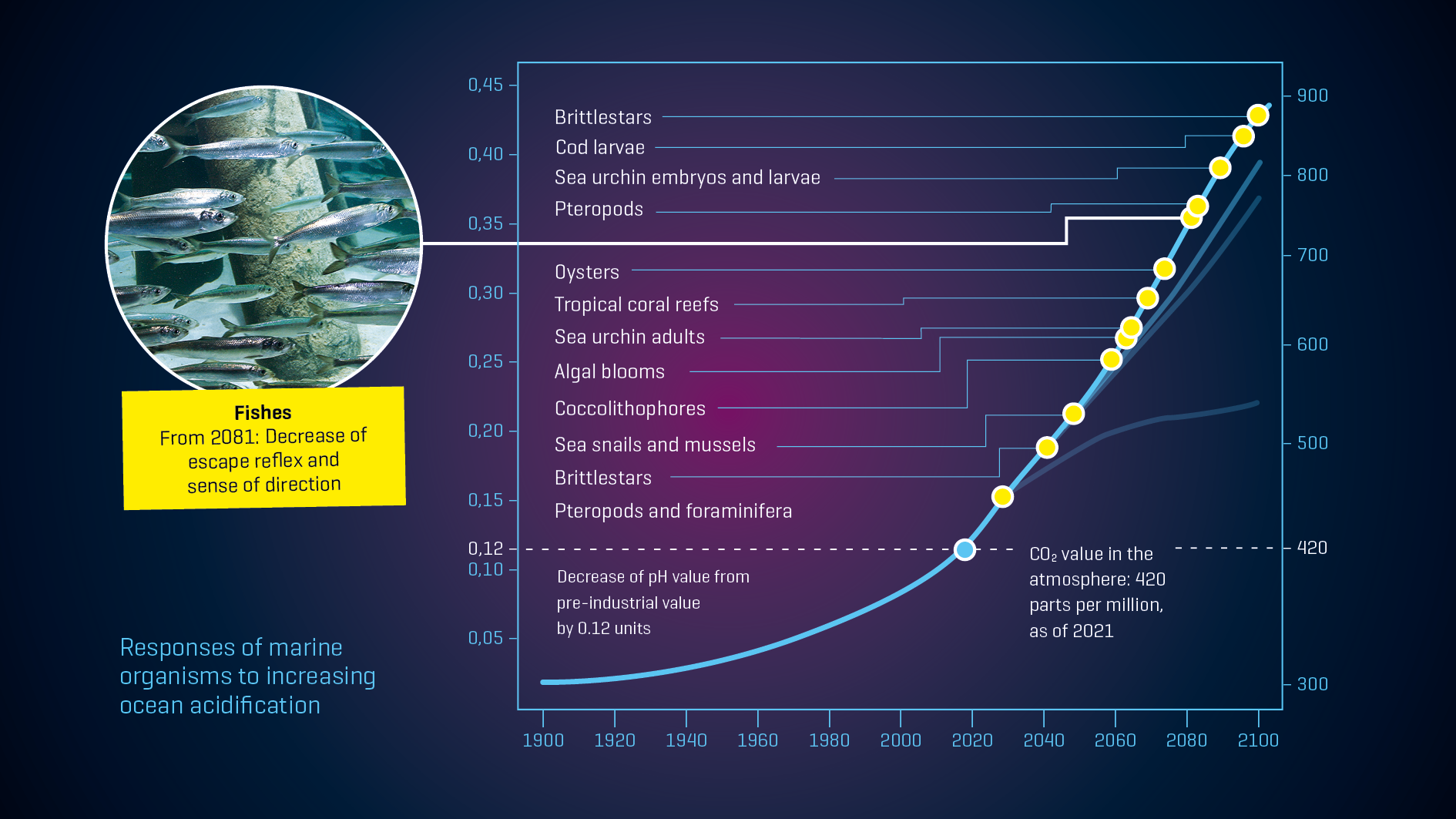 Ocean Acidification
