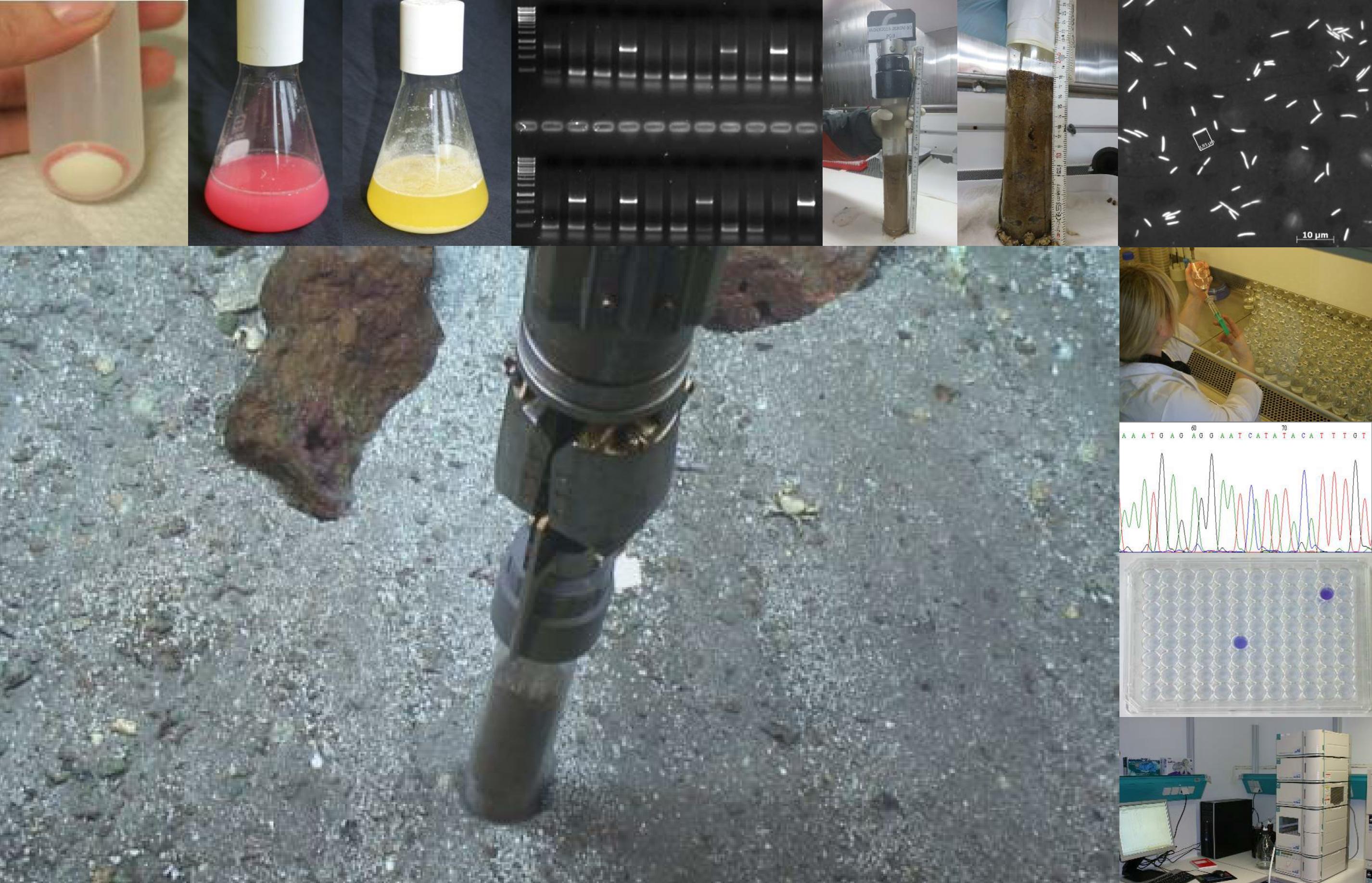 Lehre GEOMAR HelmholtzZentrum für Ozeanforschung Kiel