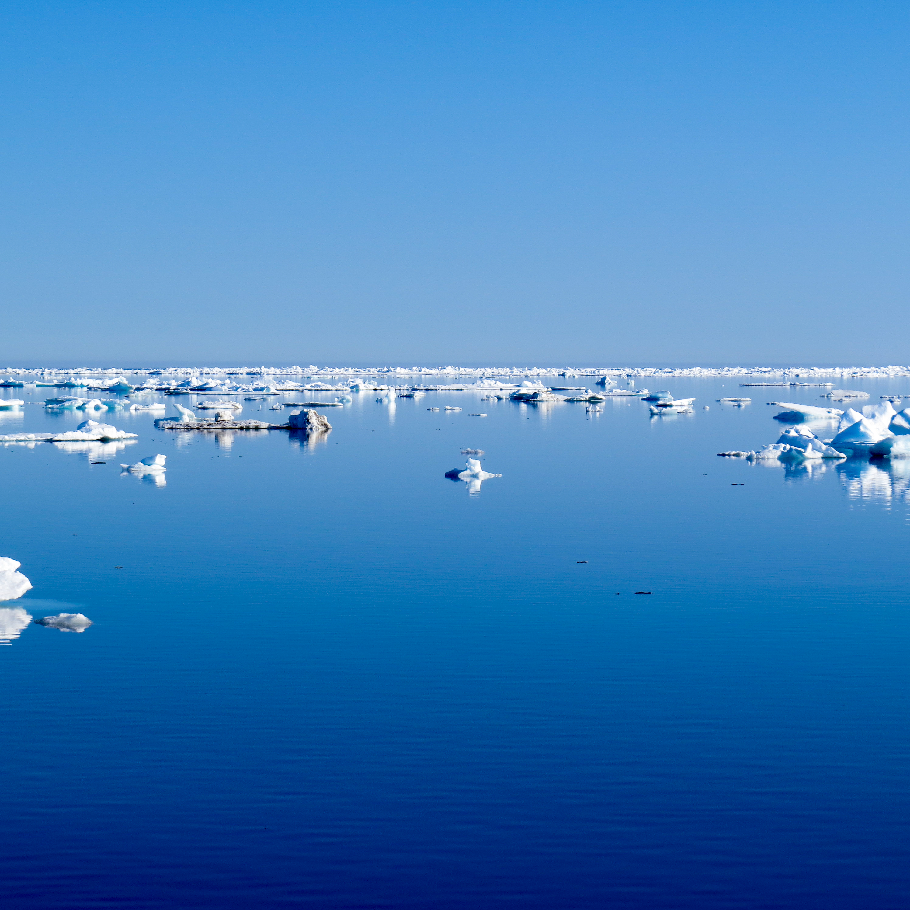 Arctic Sea Ice