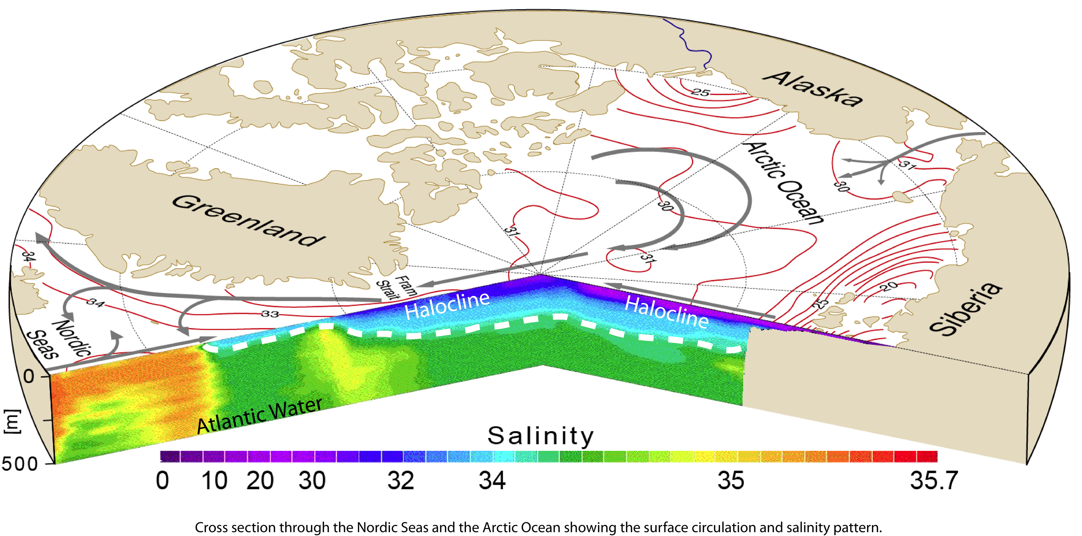 Ледовитый океан температура воздуха. Соленость Северного Ледовитого океана. Карта солености вод Северного Ледовитого океана. Соленость Северо Ледовитого океана. Распределение солёности вод Северного Ледовитого океана.