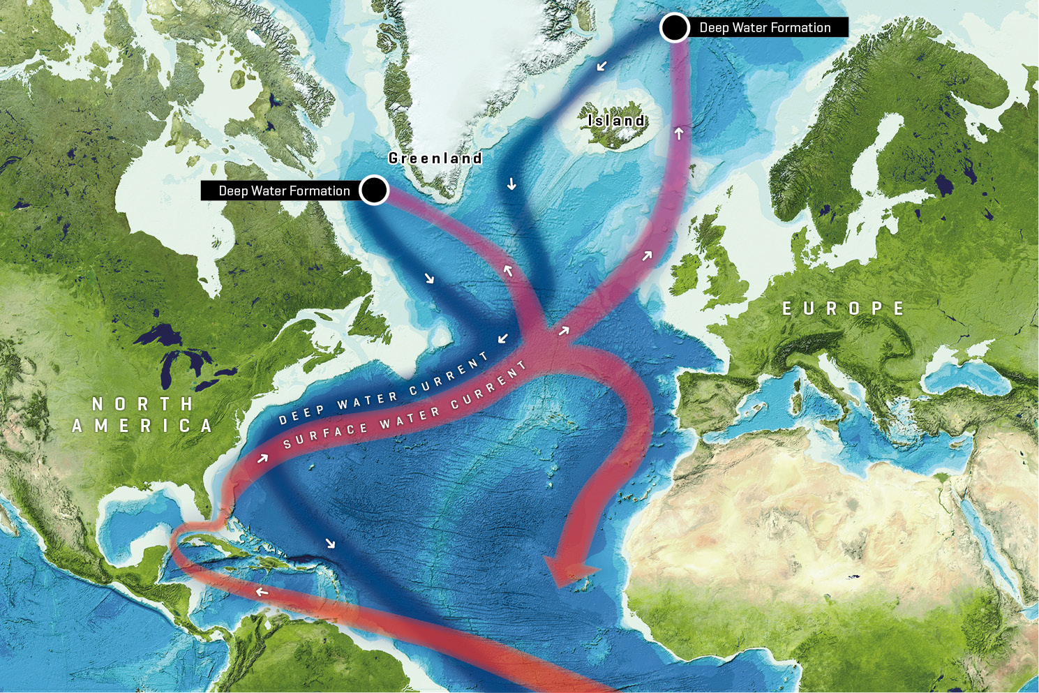 Теплое течение европы. Гольфстрим течения Атлантического океана. Норвегия Гольфстрим теплое течение. Гольфстрим на карте Атлантического океана. Течение Гольфстрим на карте.