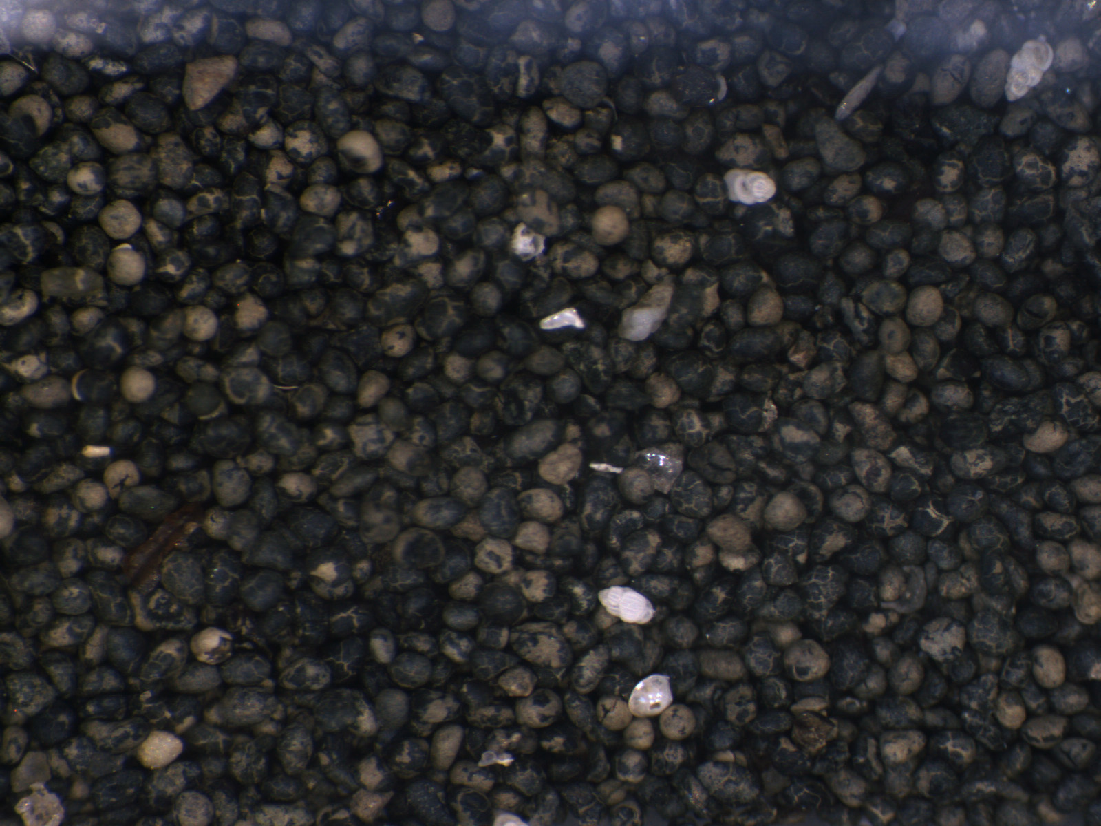 Hidden phosphate reservoirs discovered in