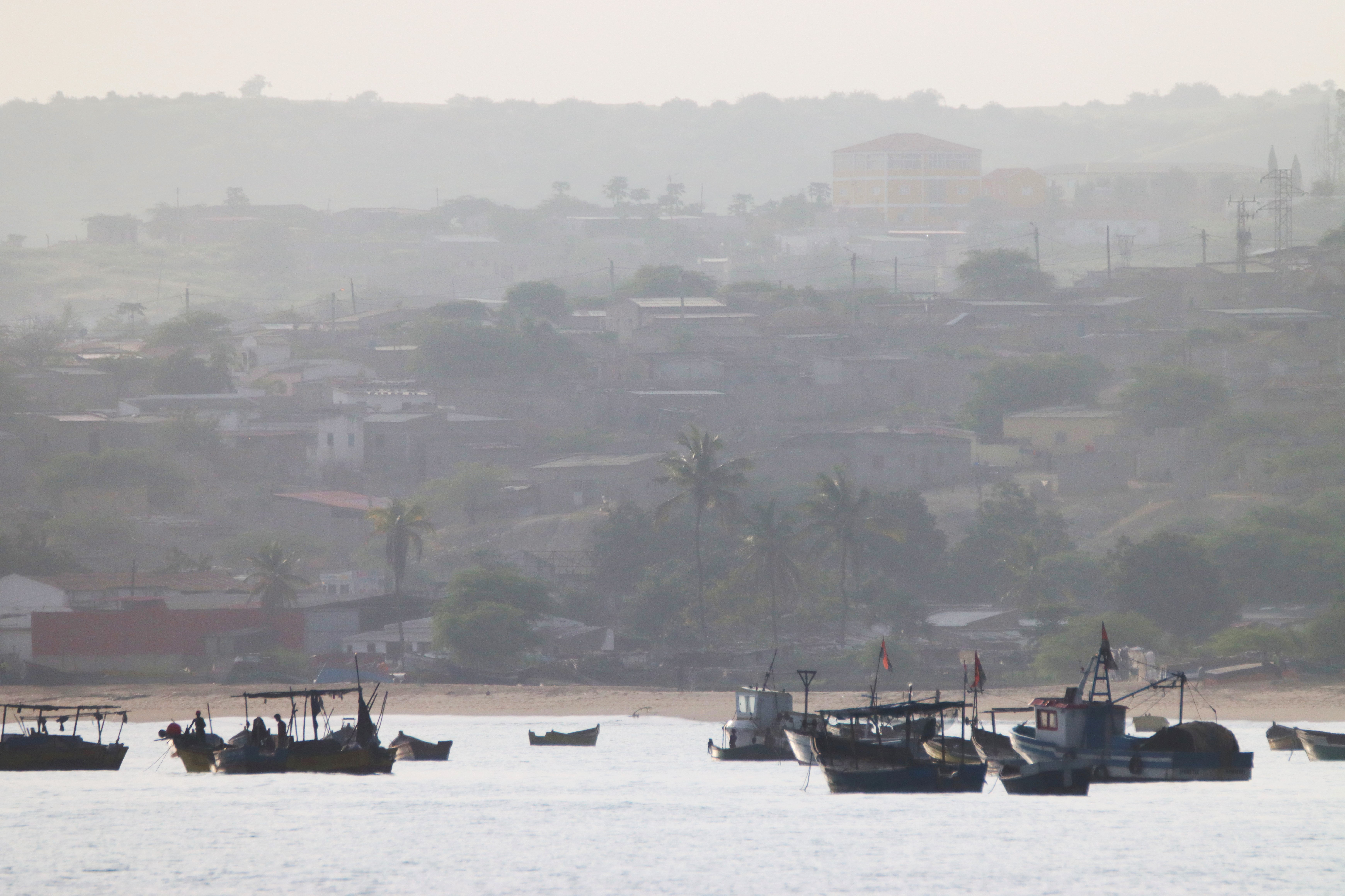 Small fishing boats on the water with palm trees and houses on land in the background.