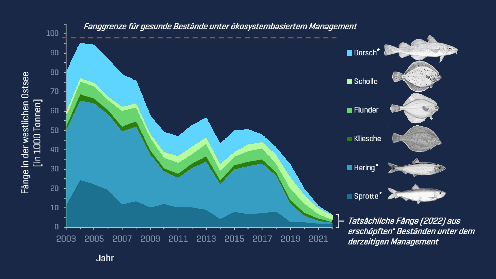 Warum Europas Fischereimanagement Neu Gedacht Werden Muss