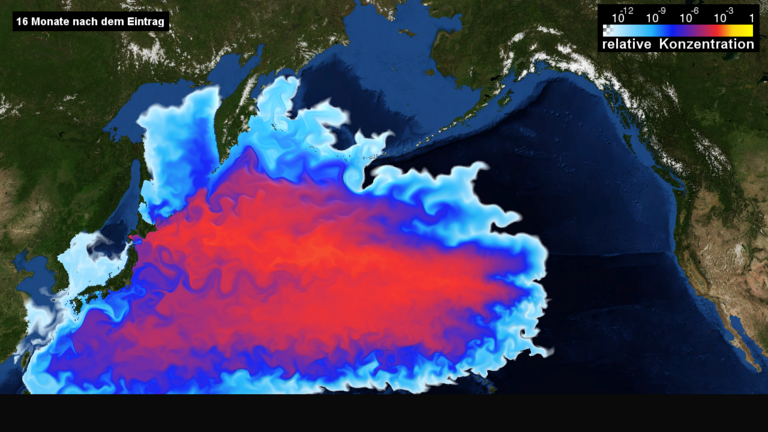 Simulated spreading of the contaminated Fukushima waters in summer 2012, 16 months after the nuclear disaster. Simulated spreading of the contaminated Fukushima waters in summer 2012, 16 months after the nuclear disaster.